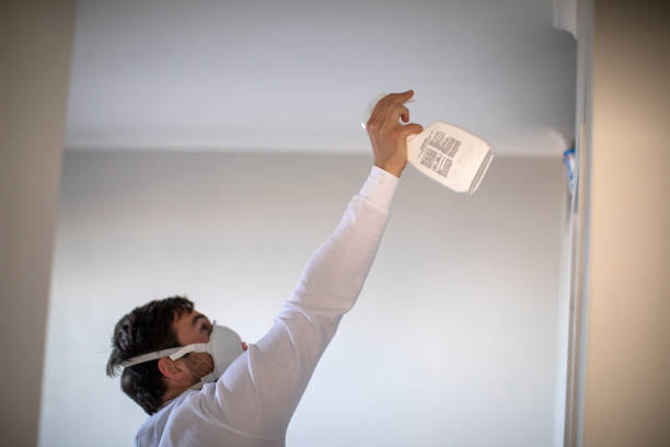 Best Post-Remediation Services in Mill City, OR