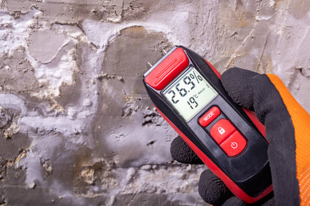 Reliable Mill City, OR Mold Remediation Solutions
