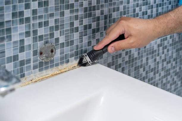 Best Emergency Mold Remediation in Mill City, OR